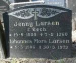 Jenny  Larsen.jpg